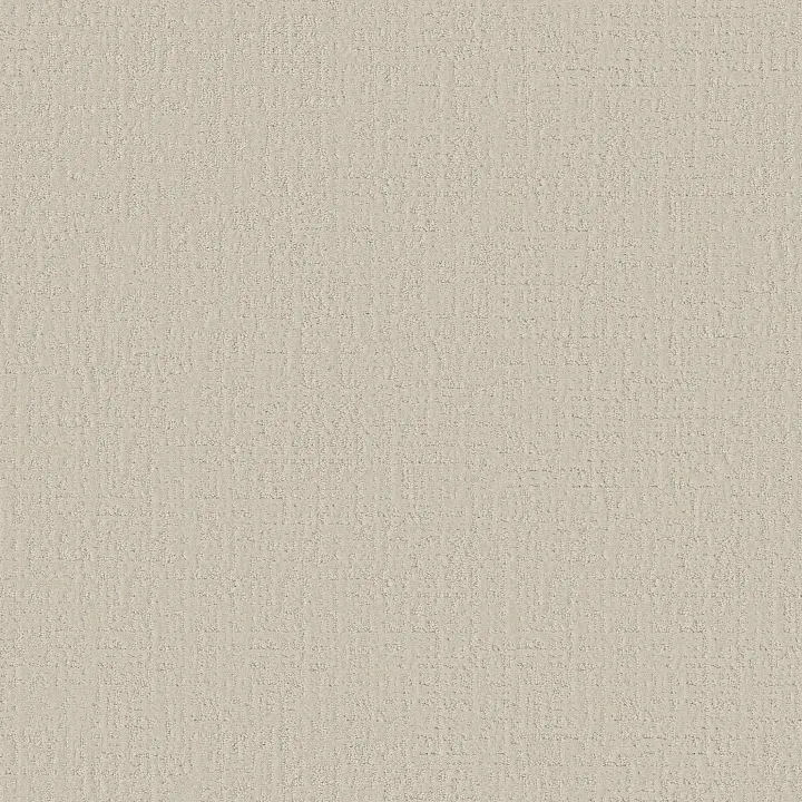 Shaw Floors Studio Plaza — Scotch Mist · 5E870-00109 — flooring selection with LeviArs Design & Remodeling