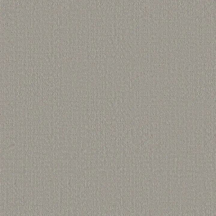 Shaw Floors Studio Plaza — Sterling · 5E870-00556 — flooring selection with LeviArs Design & Remodeling