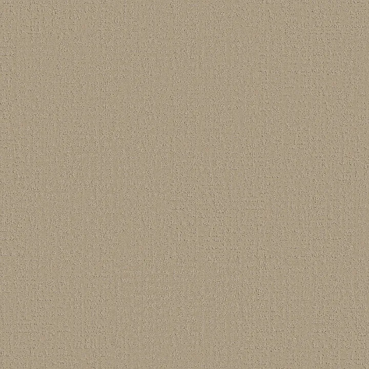 Shaw Floors Studio Plaza — Twine · 5E870-00100 — flooring selection with LeviArs Design & Remodeling