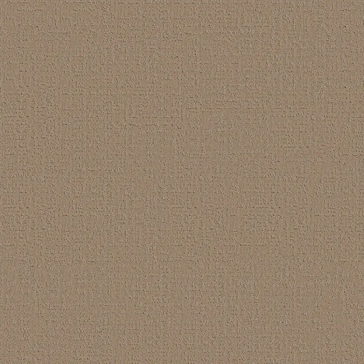 Shaw Floors Studio Plaza — Worn Path · 5E870-00700 — flooring selection with LeviArs Design & Remodeling