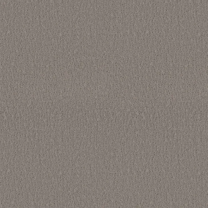 Shaw Floors Studio Set — Fallen Acorn · 5E869-00501 — flooring selection with LeviArs Design & Remodeling