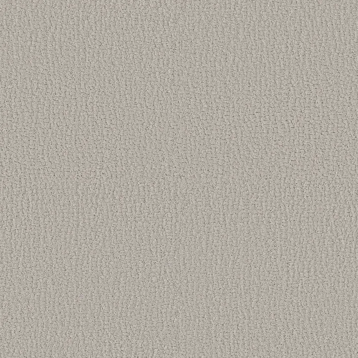 Shaw Floors Studio Set — Forest Fog · 5E869-00107 — flooring selection with LeviArs Design & Remodeling