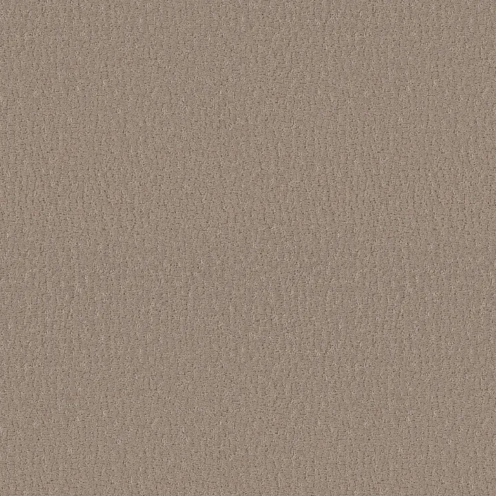 Shaw Floors Studio Set — Kindling · 5E869-00113 — flooring selection with LeviArs Design & Remodeling