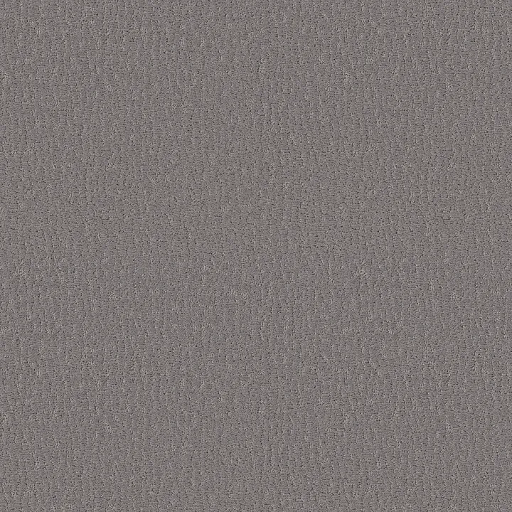 Shaw Floors Studio Set — Lunar Haze · 5E869-00509 — flooring selection with LeviArs Design & Remodeling
