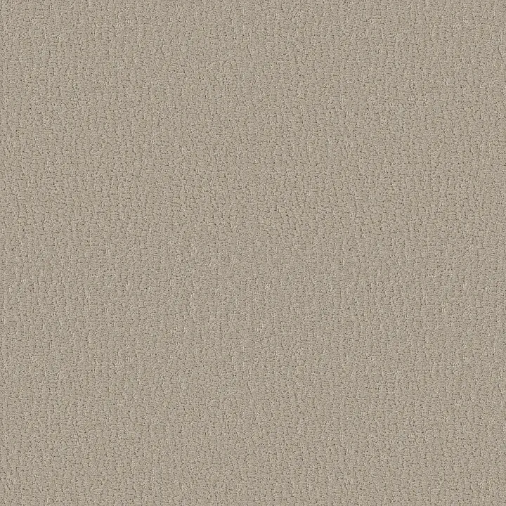 Shaw Floors Studio Set — Sandstone · 5E869-00115 — flooring selection with LeviArs Design & Remodeling
