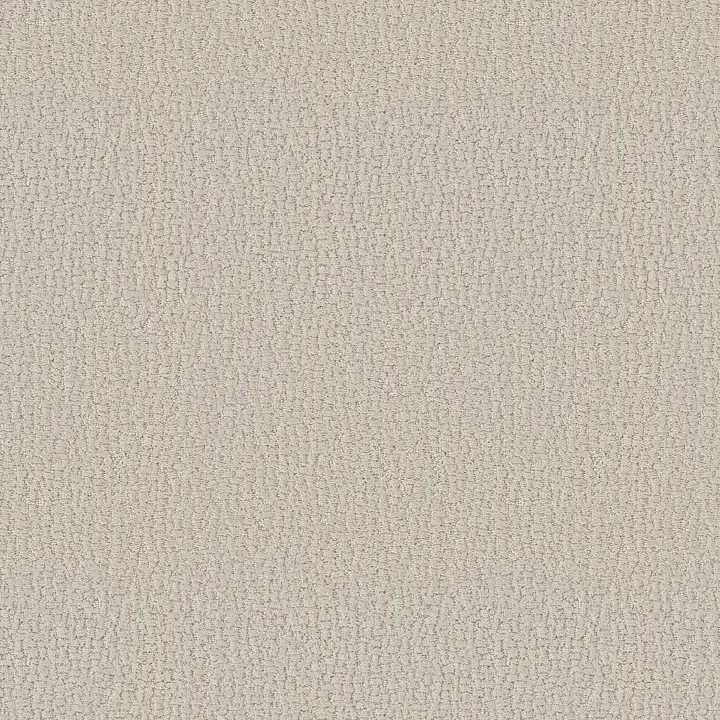 Shaw Floors Studio Set — Scotch Mist · 5E869-00109 — flooring selection with LeviArs Design & Remodeling