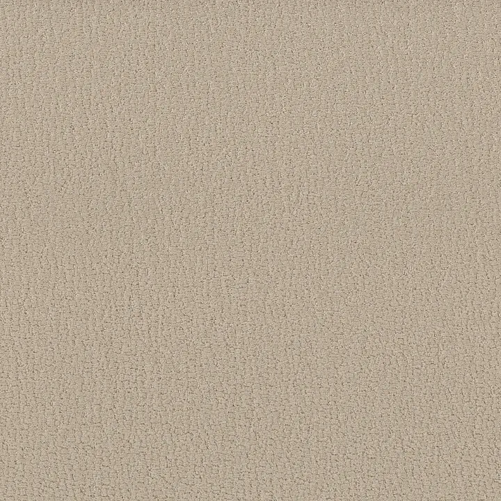 Shaw Floors Studio Set — Twine · 5E869-00100 — flooring selection with LeviArs Design & Remodeling