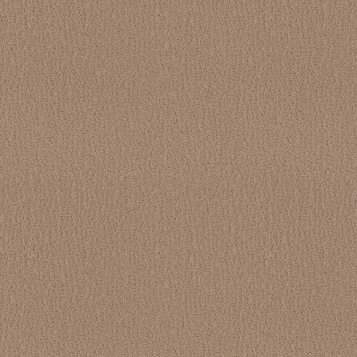 Shaw Floors Studio Set — Worn Path · 5E869-00700 — flooring selection with LeviArs Design & Remodeling