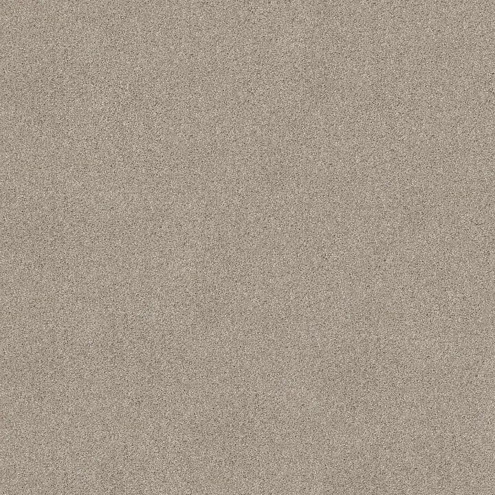 Shaw Floors Sweet Inspiration I — Catnip · 5E544-00114 — flooring selection with LeviArs Design & Remodeling