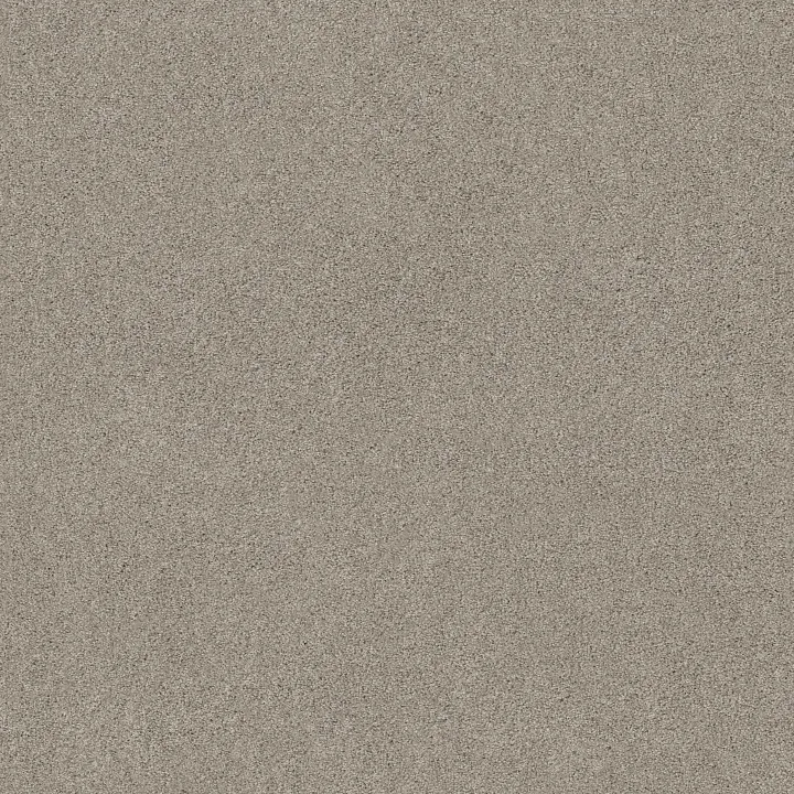 Shaw Floors Sweet Inspiration I — Frosted Ice · 5E544-00510 — flooring selection with LeviArs Design & Remodeling