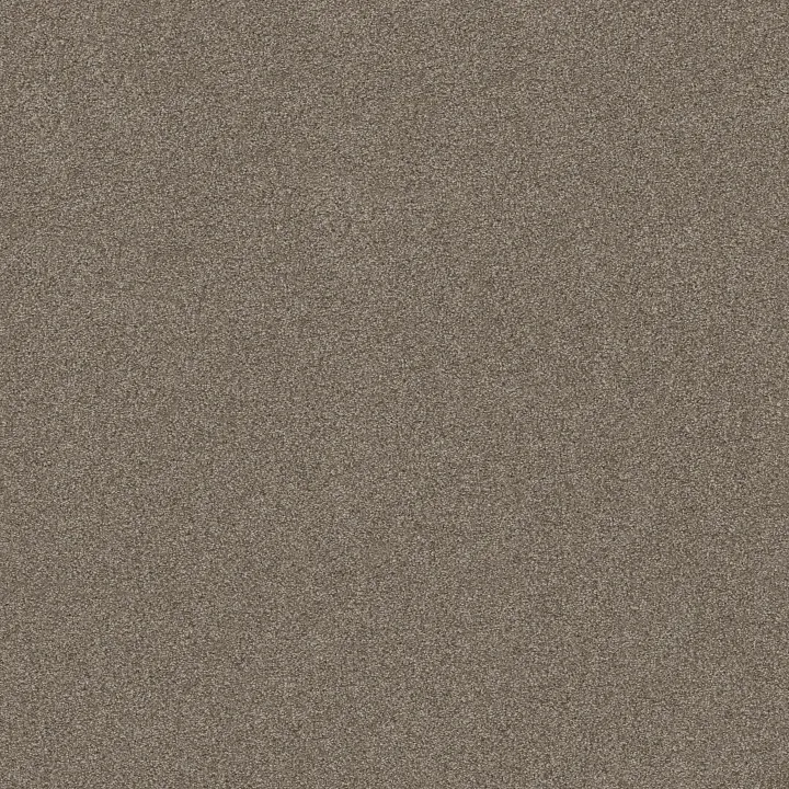 Shaw Floors Sweet Inspiration I — Moccasin · 5E544-00714 — flooring selection with LeviArs Design & Remodeling