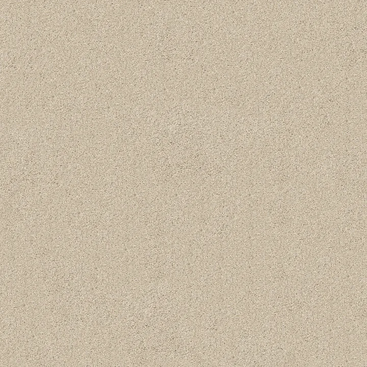 Shaw Floors Sweet Inspiration I — Natural Cotton · 5E544-00110 — flooring selection with LeviArs Design & Remodeling