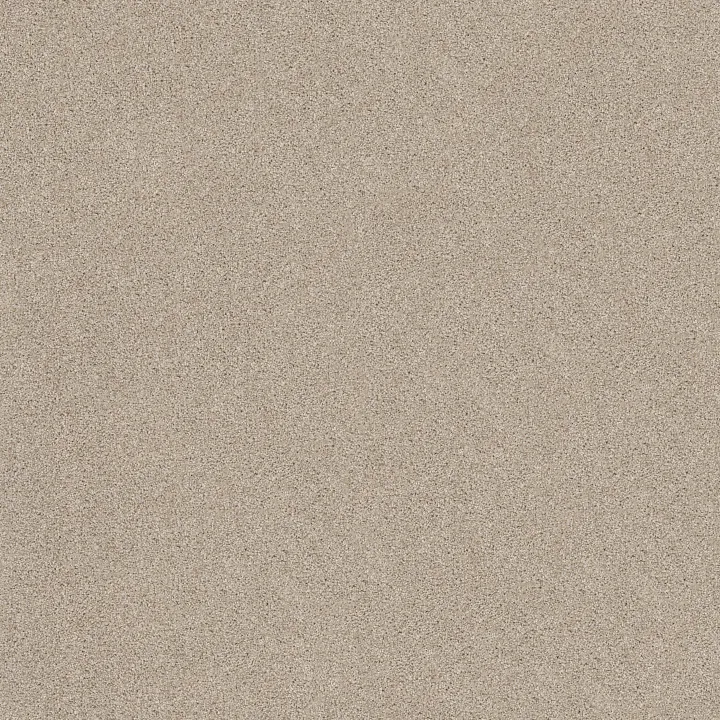 Shaw Floors Sweet Inspiration I — Scone · 5E544-00113 — flooring selection with LeviArs Design & Remodeling