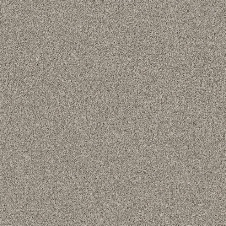 Shaw Floors Sweet Inspiration I — Tempting Taupe · 5E544-00724 — flooring selection with LeviArs Design & Remodeling