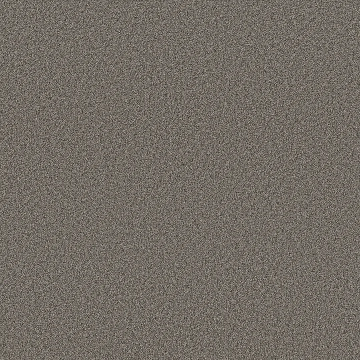 Shaw Floors Sweet Inspiration I — Weathered Sidin · 5E544-00751 — flooring selection with LeviArs Design & Remodeling