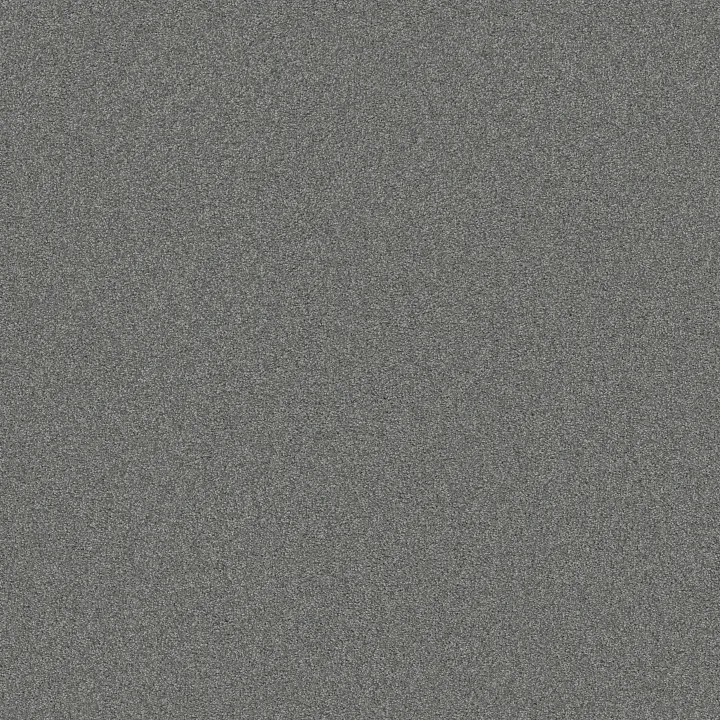 Shaw Floors Sweet Inspiration II — Charcoal · 5E545-00525 — flooring selection with LeviArs Design & Remodeling