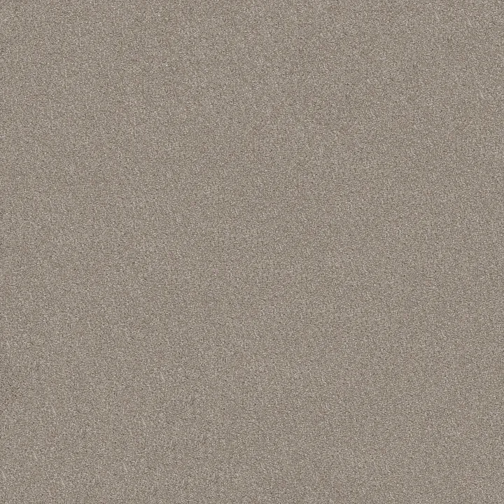Shaw Floors Sweet Inspiration II — Frosted Ice · 5E545-00510 — flooring selection with LeviArs Design & Remodeling
