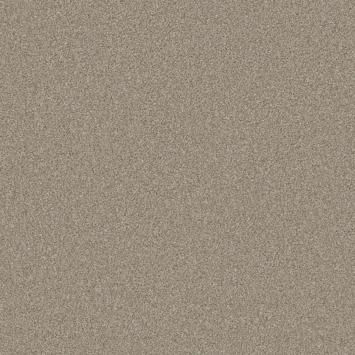 Shaw Floors Sweet Inspiration II — Khaki · 5E545-00722 — flooring selection with LeviArs Design & Remodeling
