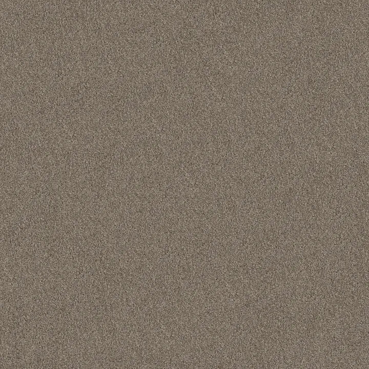Shaw Floors Sweet Inspiration II — Moccasin · 5E545-00714 — flooring selection with LeviArs Design & Remodeling