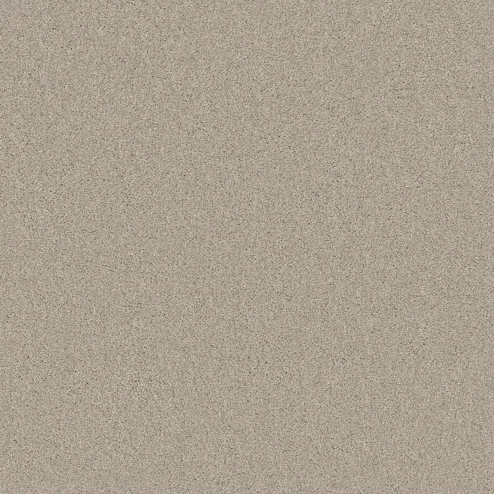 Shaw Floors Sweet Inspiration II — Scone · 5E545-00113 — flooring selection with LeviArs Design & Remodeling