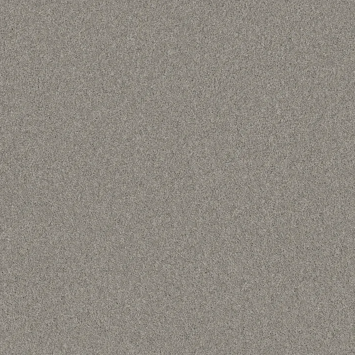 Shaw Floors Sweet Inspiration II — Tempting Taupe · 5E545-00724 — flooring selection with LeviArs Design & Remodeling