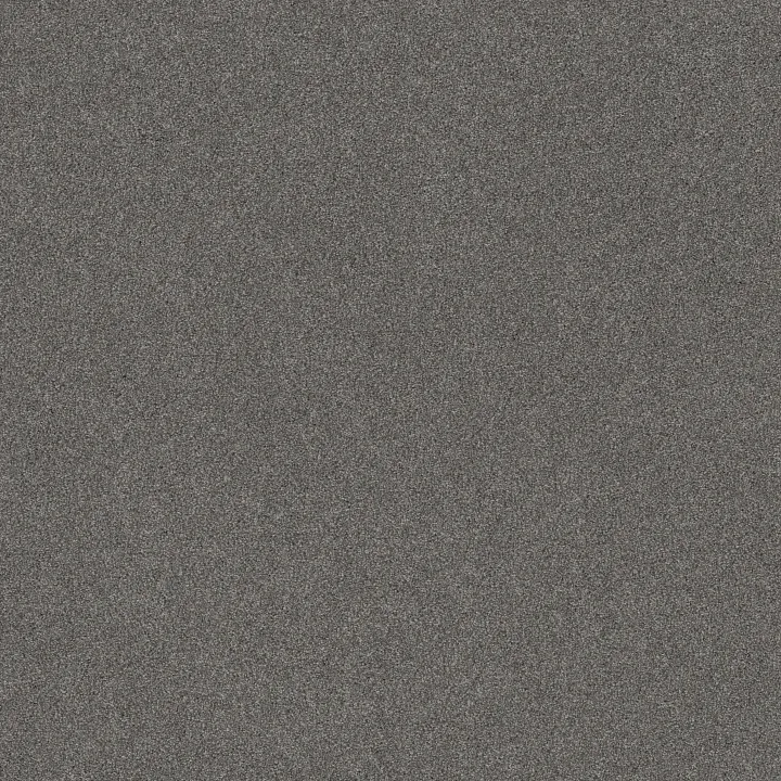 Shaw Floors Sweet Inspiration II — Weathered Sidin · 5E545-00751 — flooring selection with LeviArs Design & Remodeling
