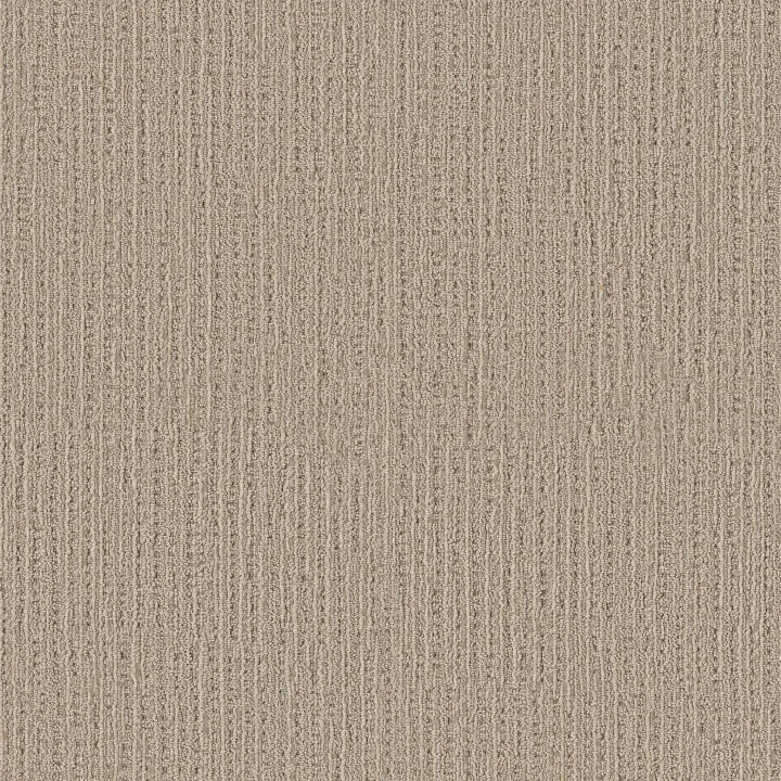 Shaw Floors Sweet Memories — Basketry · EA098-00706 — flooring selection with LeviArs Design & Remodeling
