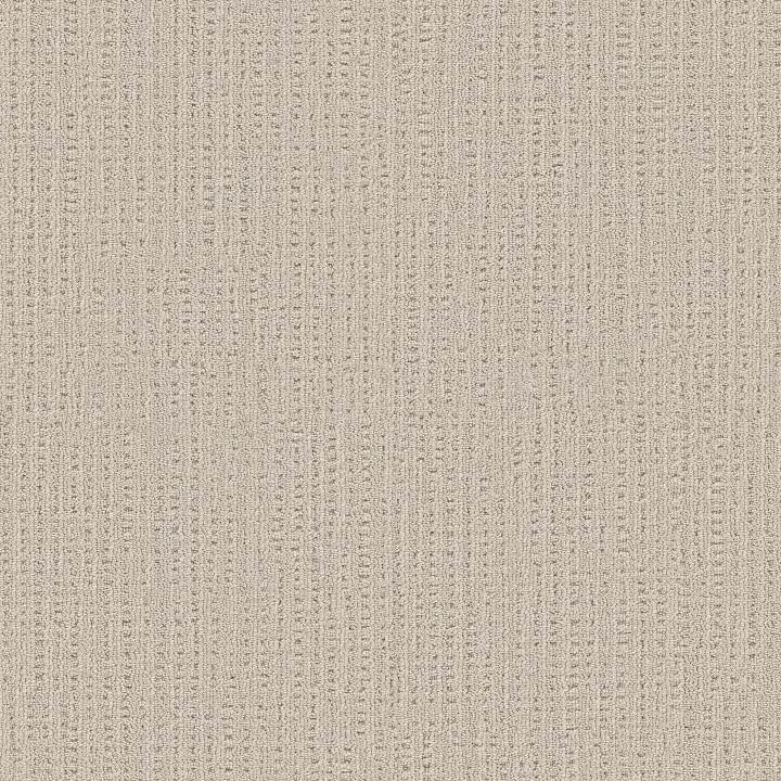 Shaw Floors Sweet Memories — Wool Blanket · EA098-00105 — flooring selection with LeviArs Design & Remodeling