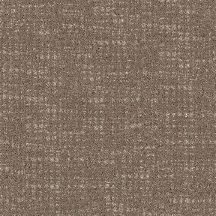 Shaw Floors Tailored Craft — Bespoke · 5E933-00770 — flooring selection with LeviArs Design & Remodeling