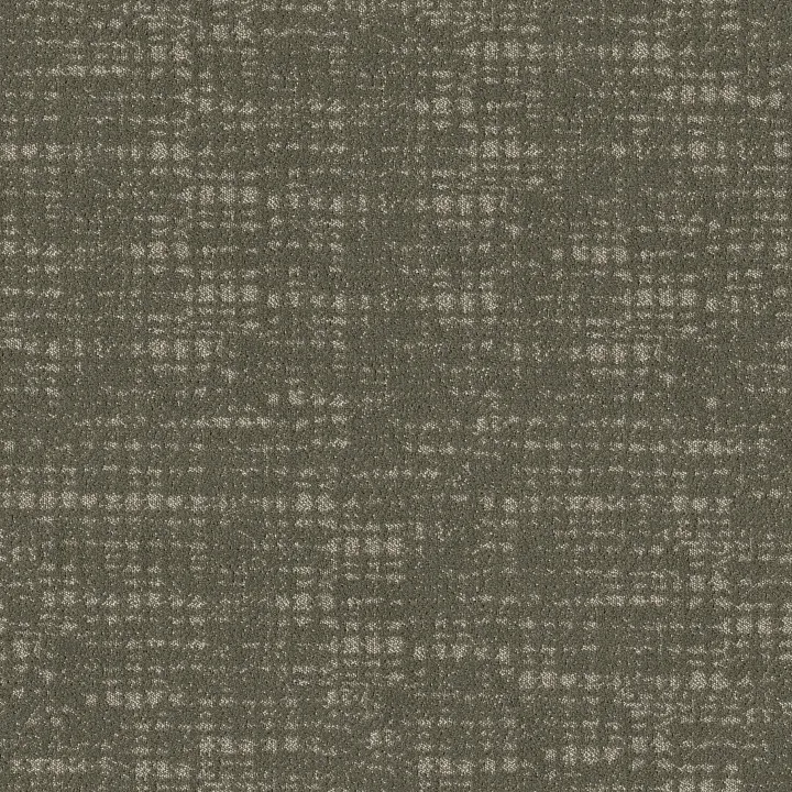Shaw Floors Tailored Craft — Ivy League · 5E933-00390 — flooring selection with LeviArs Design & Remodeling