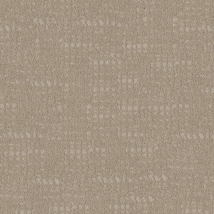 Shaw Floors Tailored Craft — Linen · 5E933-00721 — flooring selection with LeviArs Design & Remodeling