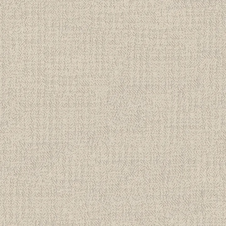 Shaw Floors Tailored Craft — Oxford · 5E933-00100 — flooring selection with LeviArs Design & Remodeling