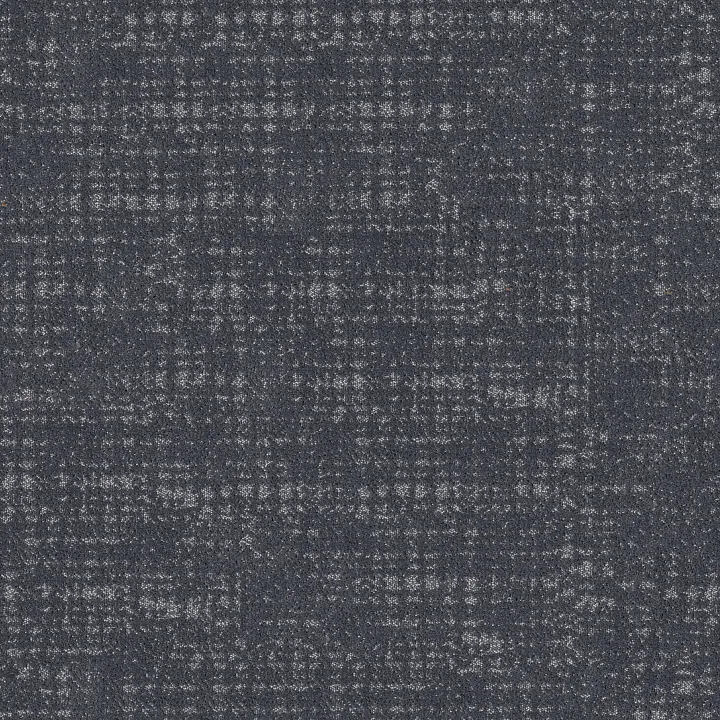 Shaw Floors Tailored Craft — Polo · 5E933-00490 — flooring selection with LeviArs Design & Remodeling
