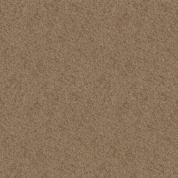 Shaw Floors Take Away (S) — Dakota · 5E426-00714 — flooring selection with LeviArs Design & Remodeling