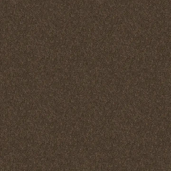 Shaw Floors Take Away (S) — Mocha · 5E426-00704 — flooring selection with LeviArs Design & Remodeling