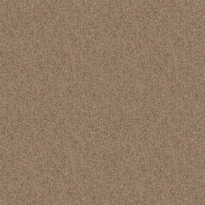 Shaw Floors Take Away (S) — Raft · 5E426-00701 — flooring selection with LeviArs Design & Remodeling