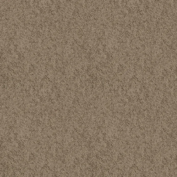 Shaw Floors Take Away (S) — Ridge · 5E426-00702 — flooring selection with LeviArs Design & Remodeling