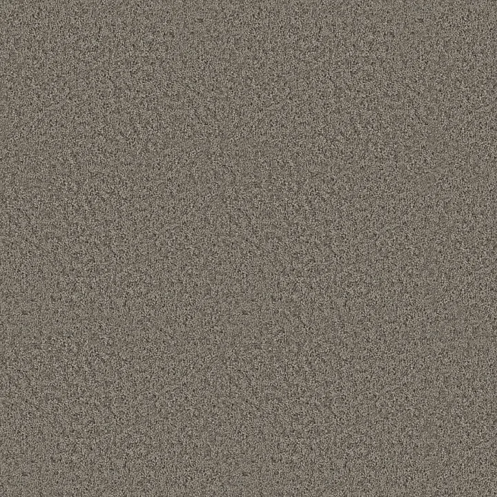 Shaw Floors Take Away (S) — Shadow · 5E426-00502 — flooring selection with LeviArs Design & Remodeling