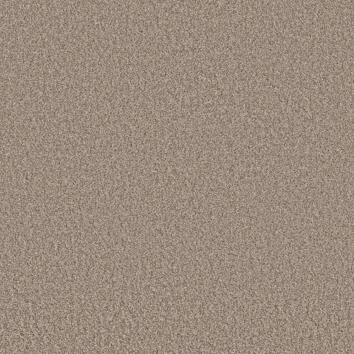 Shaw Floors Take Away (T) — Frontier · 5E425-00720 — flooring selection with LeviArs Design & Remodeling