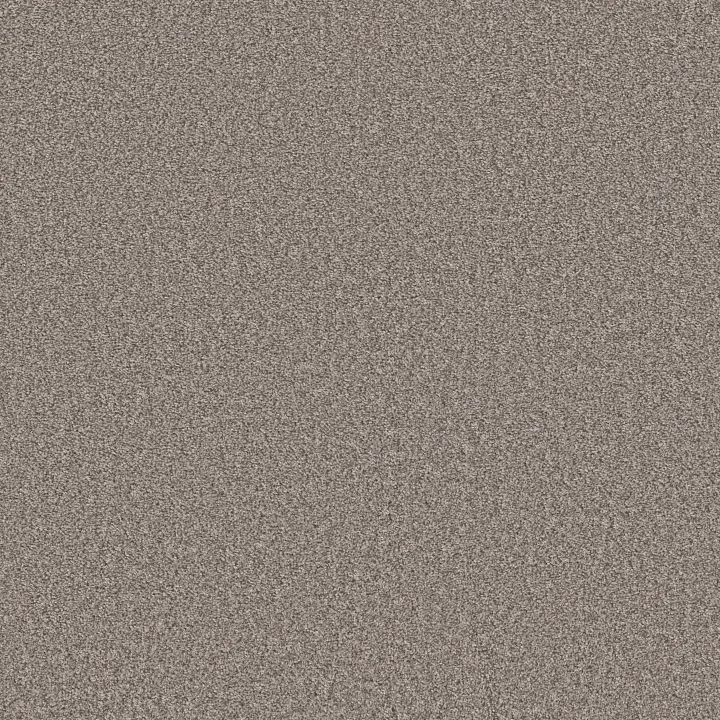 Shaw Floors Take Away (T) — Hawk · 5E425-00722 — flooring selection with LeviArs Design & Remodeling