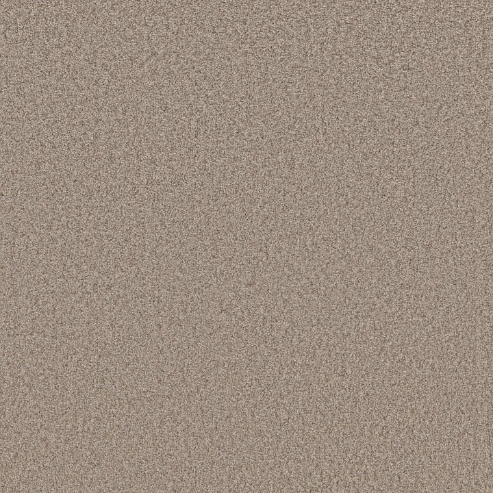 Shaw Floors Take Away (T) — Mulch · 5E425-00721 — flooring selection with LeviArs Design & Remodeling
