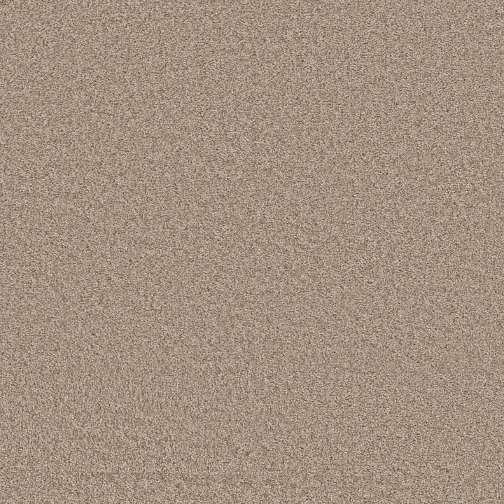 Shaw Floors Take Away (T) — Summer Sand · 5E425-00121 — flooring selection with LeviArs Design & Remodeling