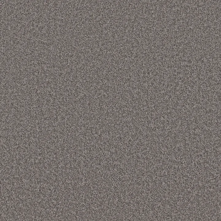 Shaw Floors Take Away (T) — Truffle · 5E425-00521 — flooring selection with LeviArs Design & Remodeling