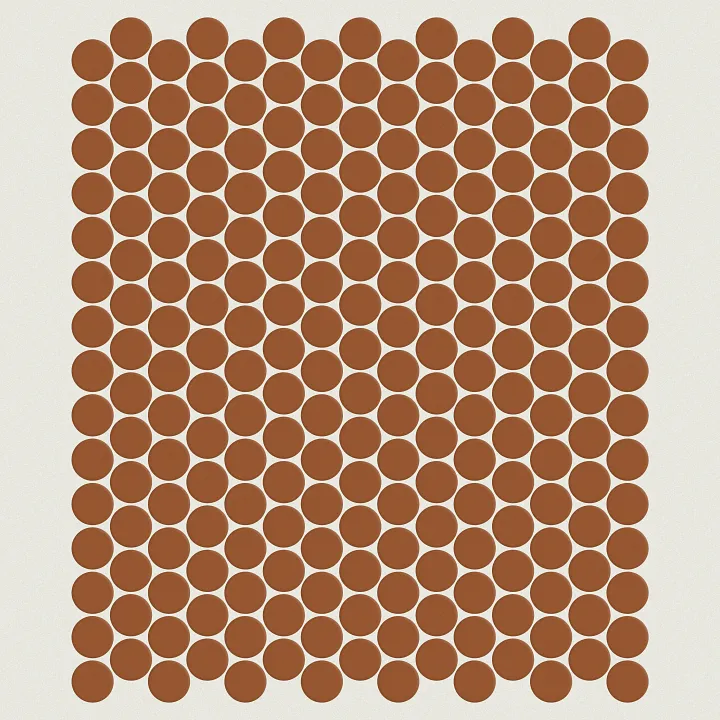 Shaw Floors Technicolor Dreams Pny Mos — Sienna · 588TS-00600 — flooring selection with LeviArs Design & Remodeling