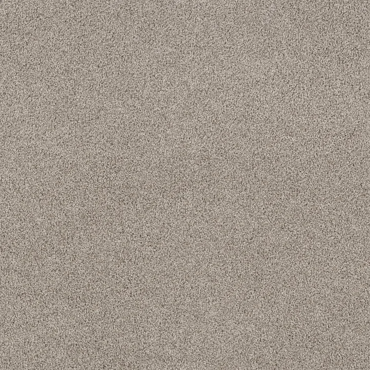 Shaw Floors Soft Effervescence — Dawn Beige · 5E783-00115 — flooring selection with LeviArs Design & Remodeling