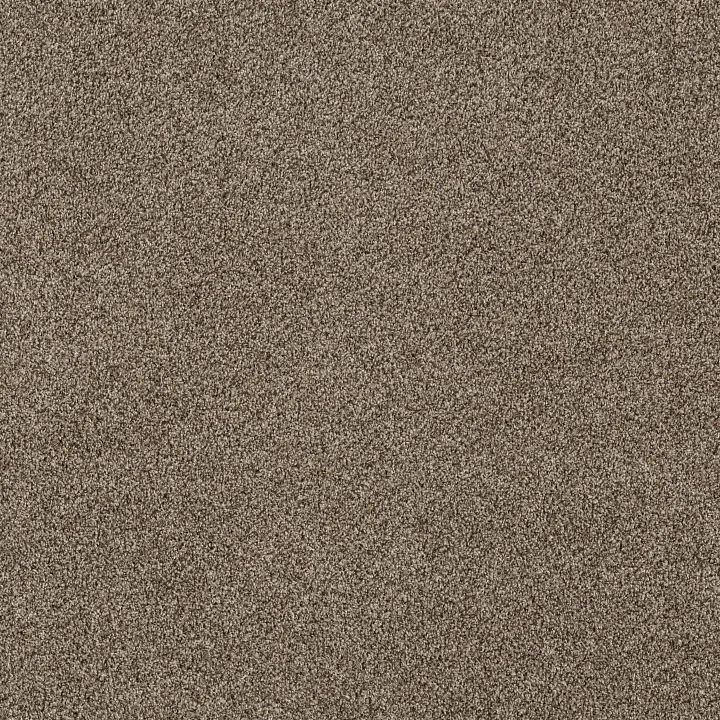 Shaw Floors Soft Effervescence — Mocha Latte' · 5E783-00705 — flooring selection with LeviArs Design & Remodeling