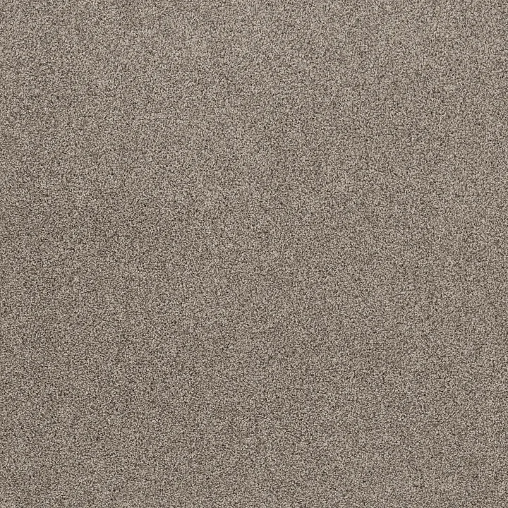 Shaw Floors Soft Effervescence — Overcast · 5E783-00510 — flooring selection with LeviArs Design & Remodeling