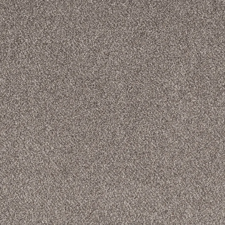Shaw Floors Soft Effervescence — Oxford · 5E783-00512 — flooring selection with LeviArs Design & Remodeling