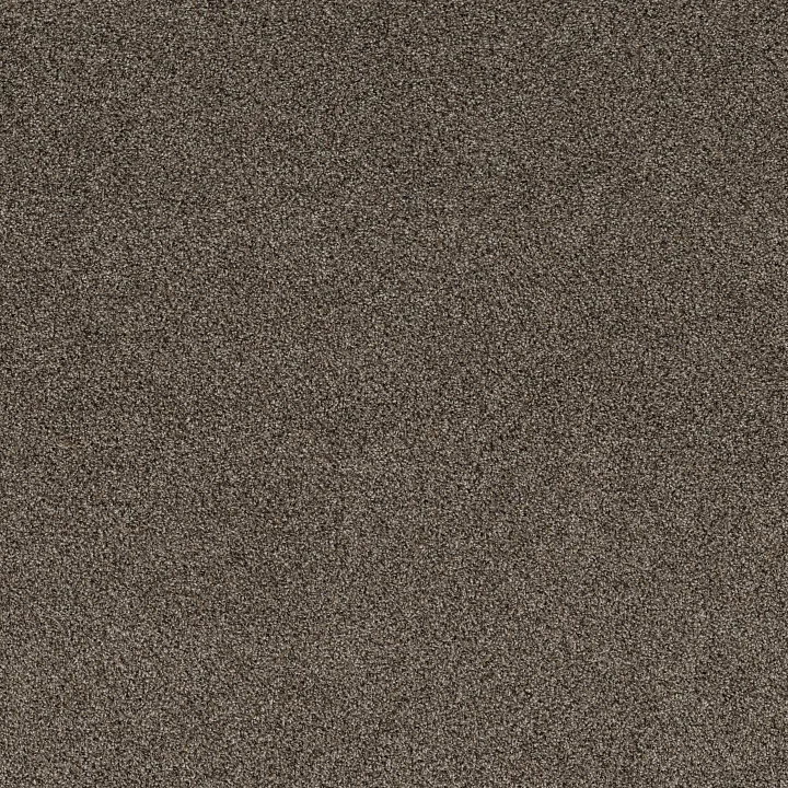 Shaw Floors Soft Effervescence — Tree Bark · 5E783-00706 — flooring selection with LeviArs Design & Remodeling