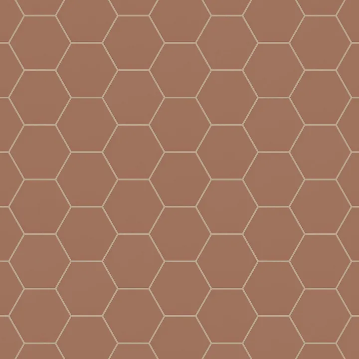 Shaw Floors Tetra 5X6 Hex — Terracotta · 700TS-00600 — flooring selection with LeviArs Design & Remodeling
